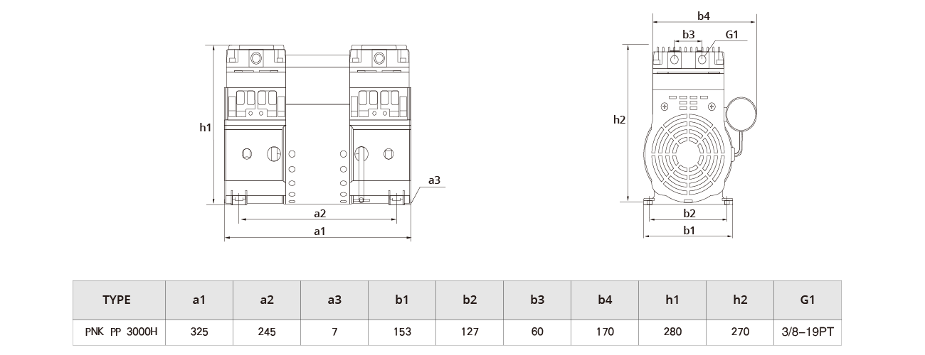 PNK PP 3000H活塞真空泵（bèng）.png